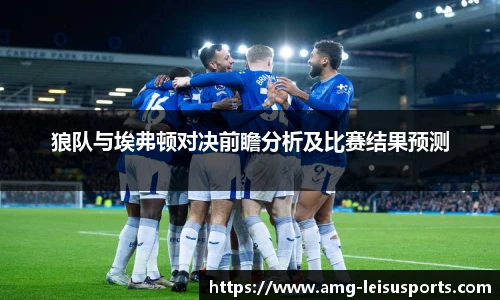 狼队与埃弗顿对决前瞻分析及比赛结果预测